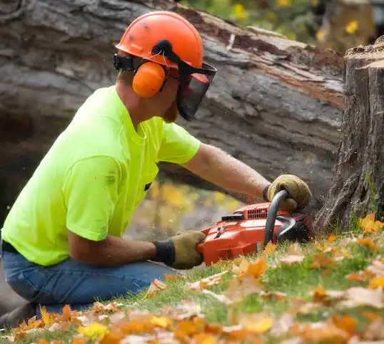 tree services Tillson